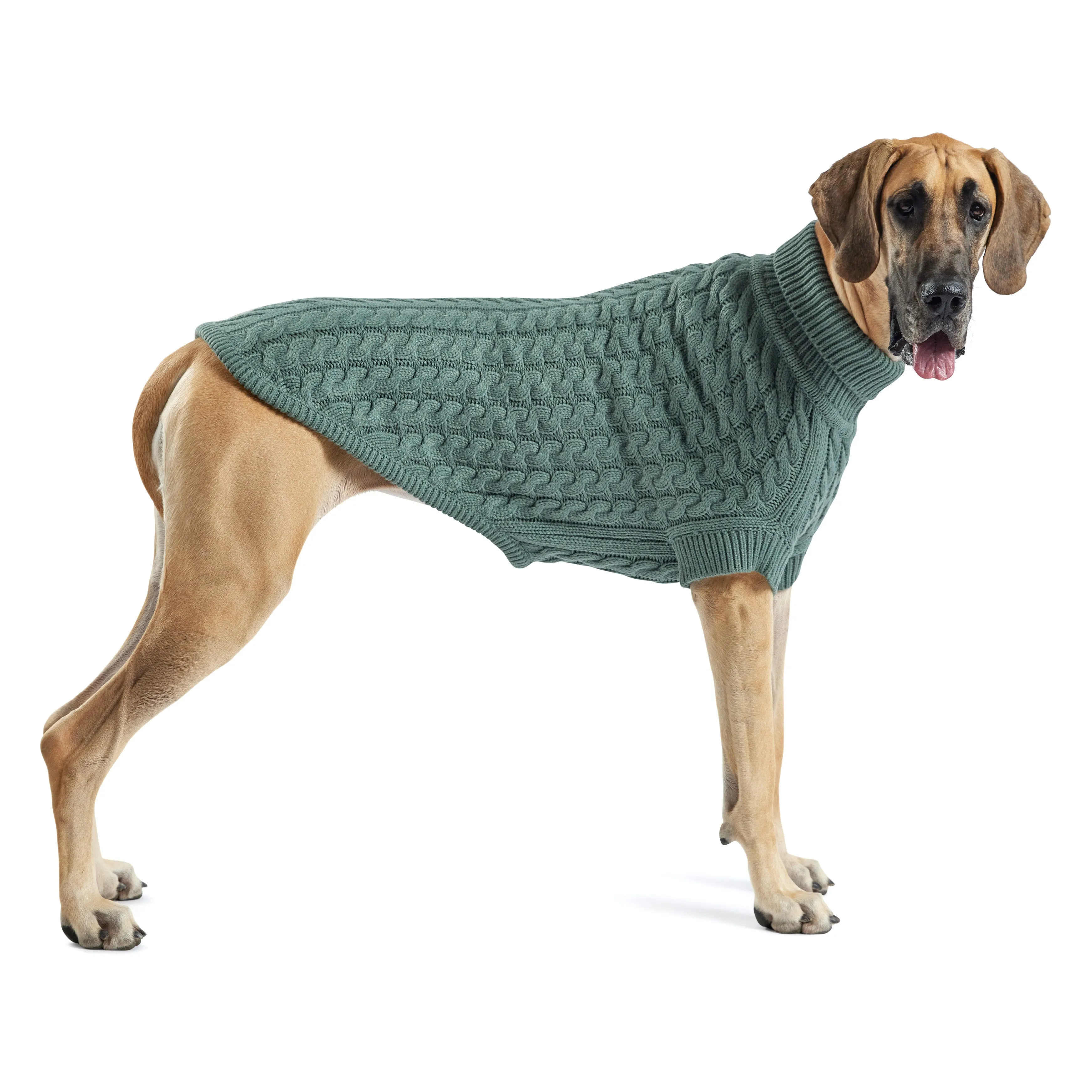 Cozy Sage Chalet Dog Sweater – Warm & Stylish Pet Apparel