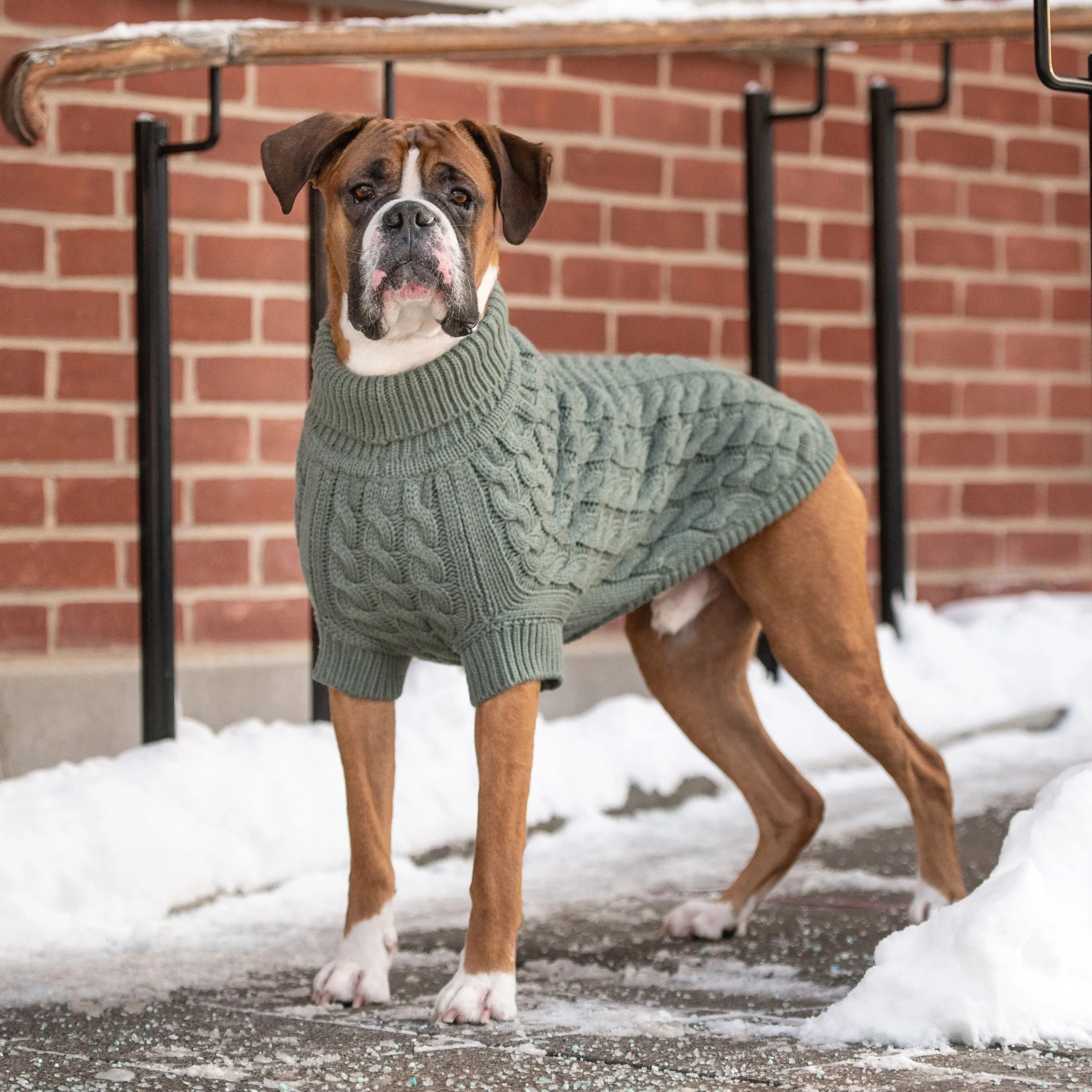 Cozy Sage Chalet Dog Sweater – Warm & Stylish Pet Apparel