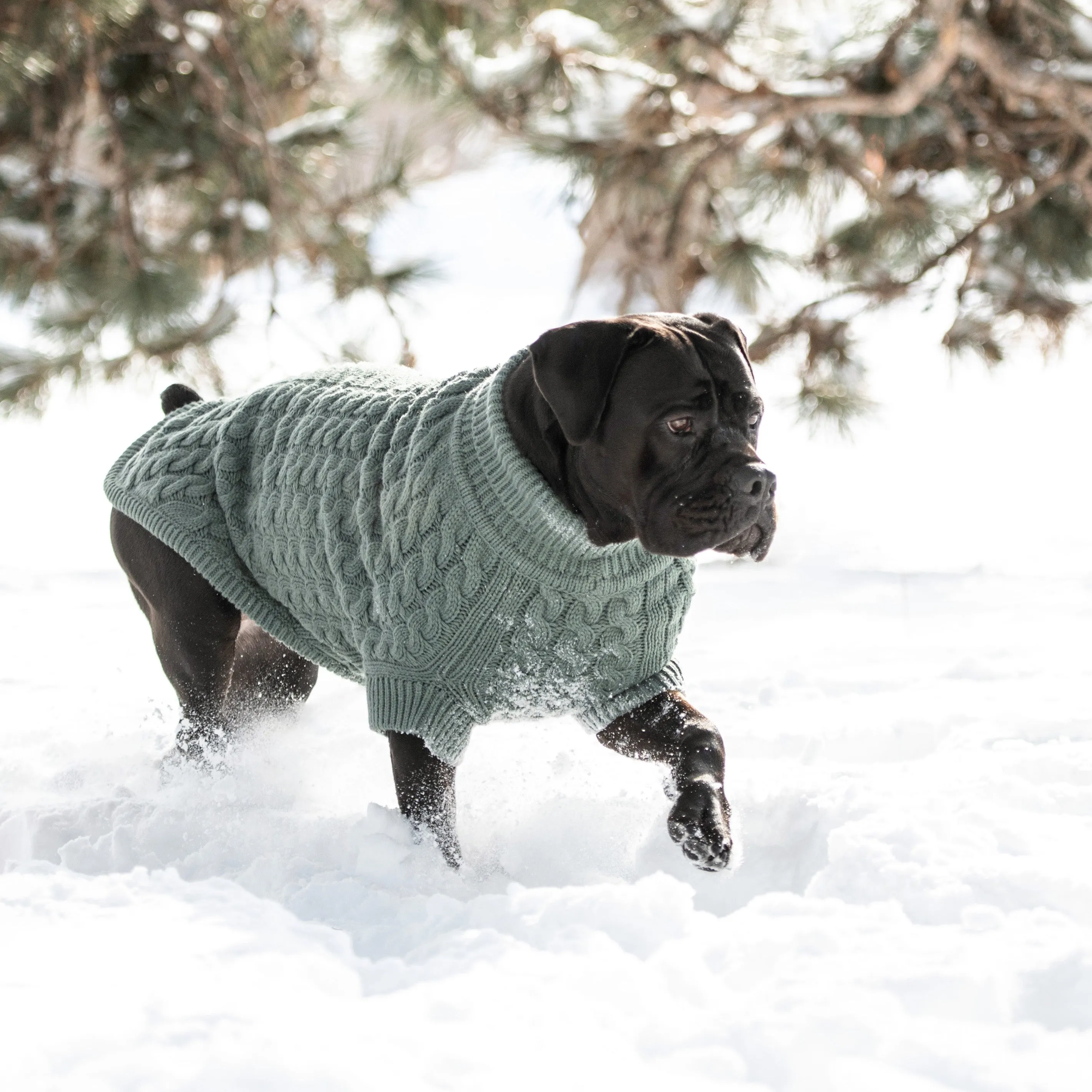 Cozy Sage Chalet Dog Sweater – Warm & Stylish Pet Apparel