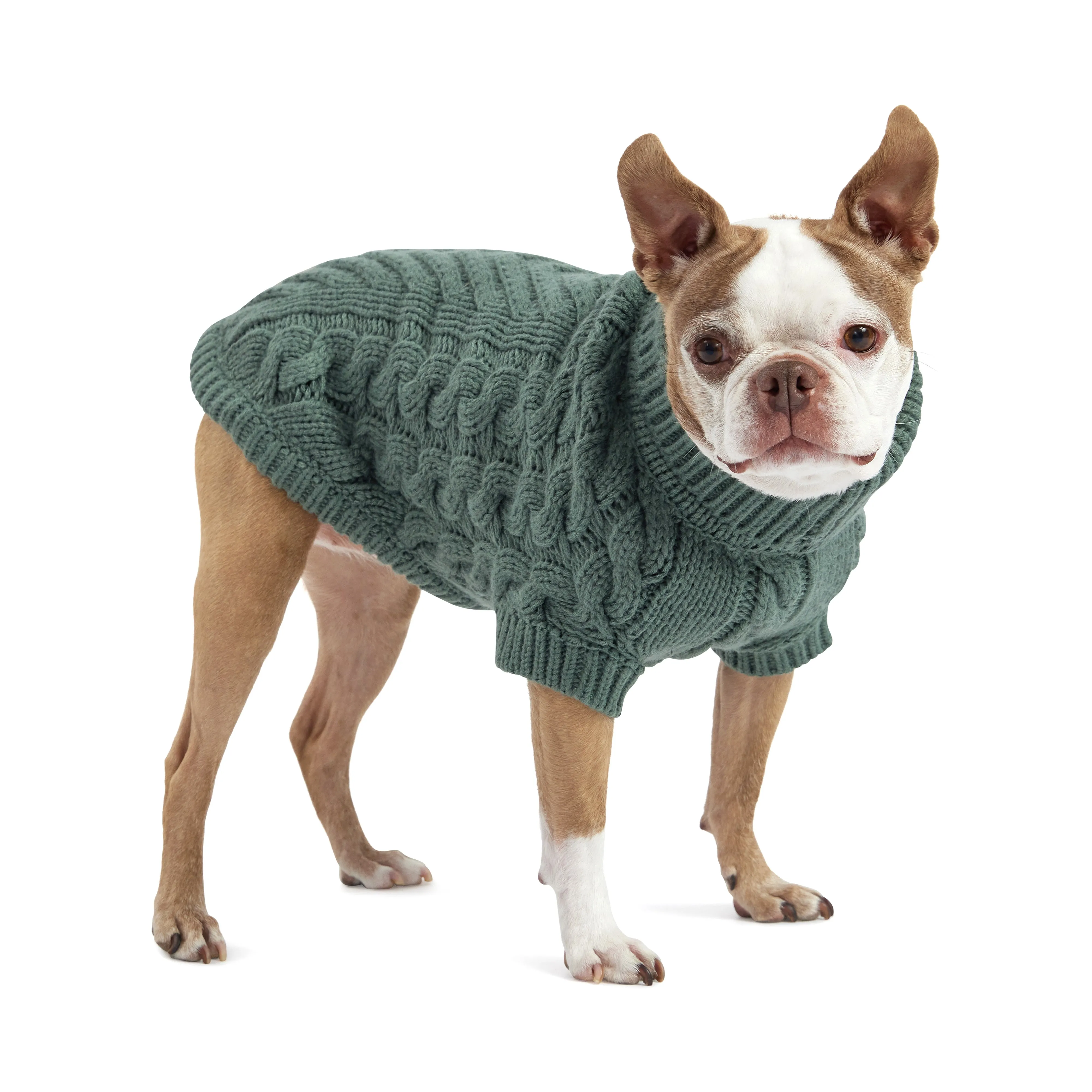 Cozy Sage Chalet Dog Sweater – Warm & Stylish Pet Apparel