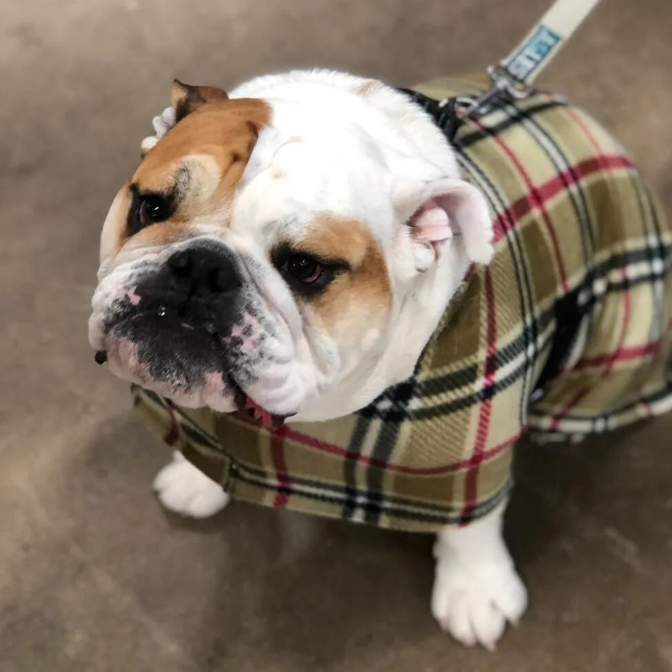 London Camel Plaid Fleece Dog Coat