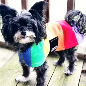 Rainbow Pride Fleece Dog Coat