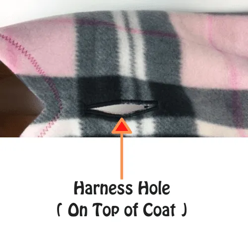 Rainbow Pride Fleece Dog Coat